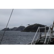 Muckle Flugga & Outstack