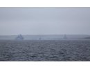 Patrol Boat